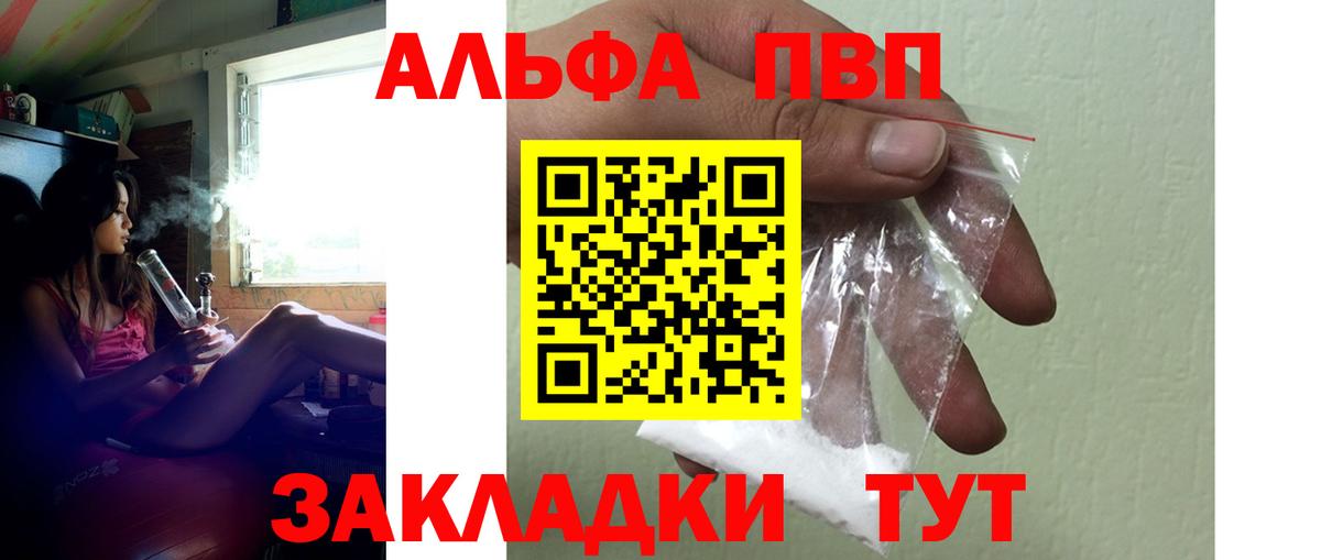Альфа ПВП СК КРИС Гудермес