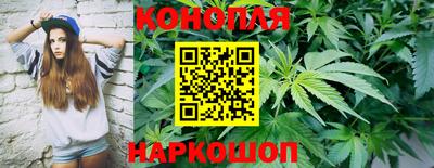 крисы Ирбит