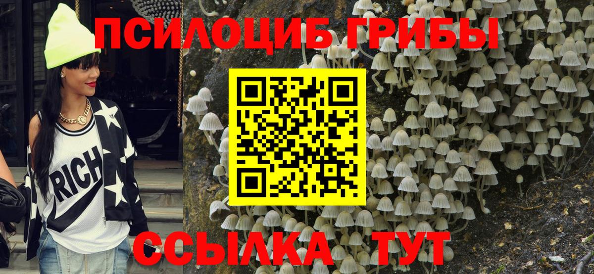 Гудермес  купить закладку  Псилоцибиновые грибы Cubensis  Вход с VPN  Галлюциногенные грибы мицелий 
