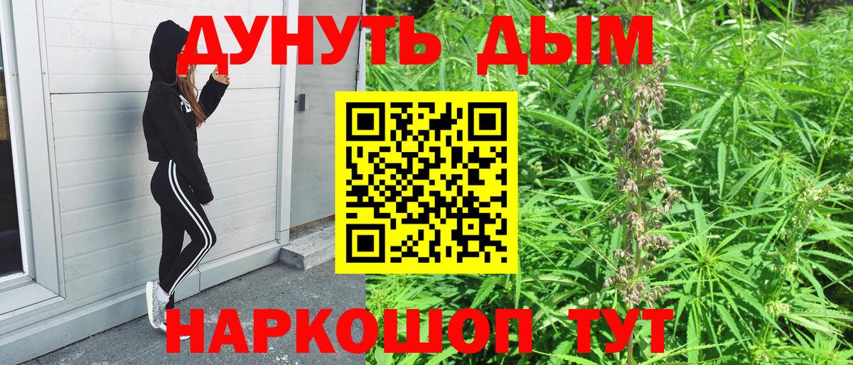 Бошки марихуана семена Гудермес